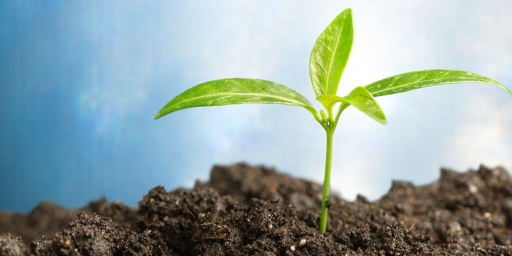 how to grow aum